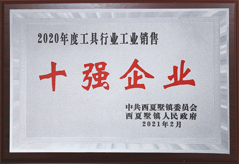 2020十强企业